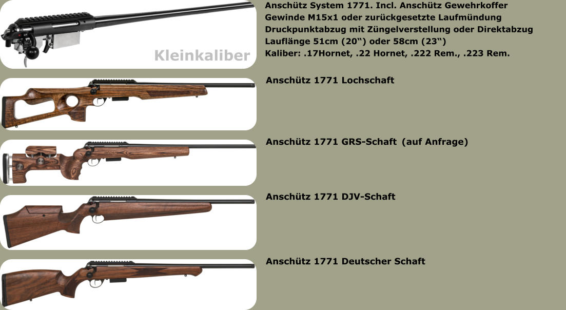 Anschütz 1771 Lochschaft	  Anschütz 1771 DJV-Schaft	  Anschütz 1771 GRS-Schaft	(auf Anfrage)  Anschütz 1771 Deutscher Schaft	  Anschütz System 1771. Incl. Anschütz Gewehrkoffer Gewinde M15x1 oder zurückgesetzte LaufmündungDruckpunktabzug mit Züngelverstellung oder Direktabzug Lauflänge 51cm (20“) oder 58cm (23“) Kaliber: .17Hornet, .22 Hornet, .222 Rem., .223 Rem.  Kleinkaliber